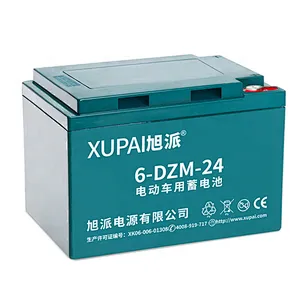 High Quality 12V 24AH Lead Acid power battery 6-DZM-24 for e-scooter