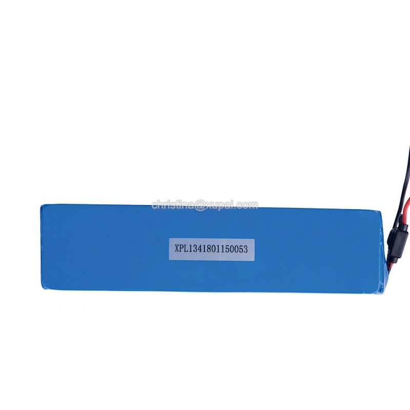 60v lithium ion battery 20ah for electric vehicles