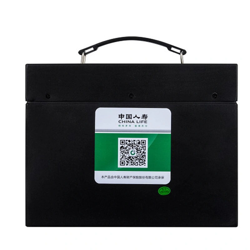 60V 20Ah 18650 Lithium Ion Battery for electric bike