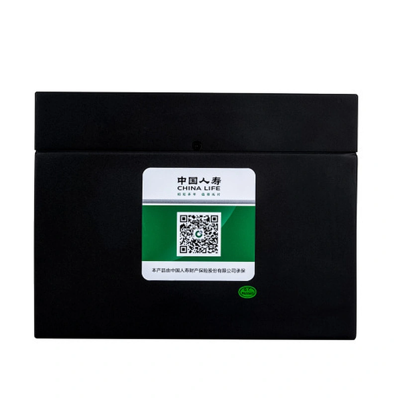 XUPAI manufacturer 60v32Ah Lithium Ion Battery for ebike