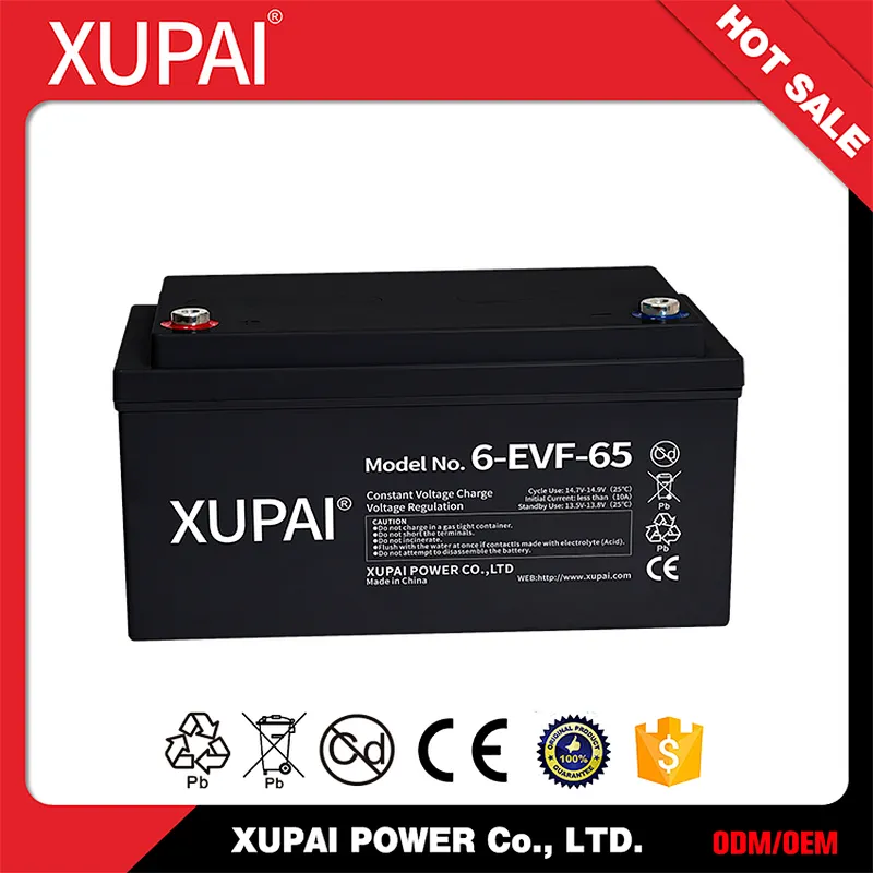 6-EVF-65 Battery Power Bank 48V 12V 65AH for Electric Car