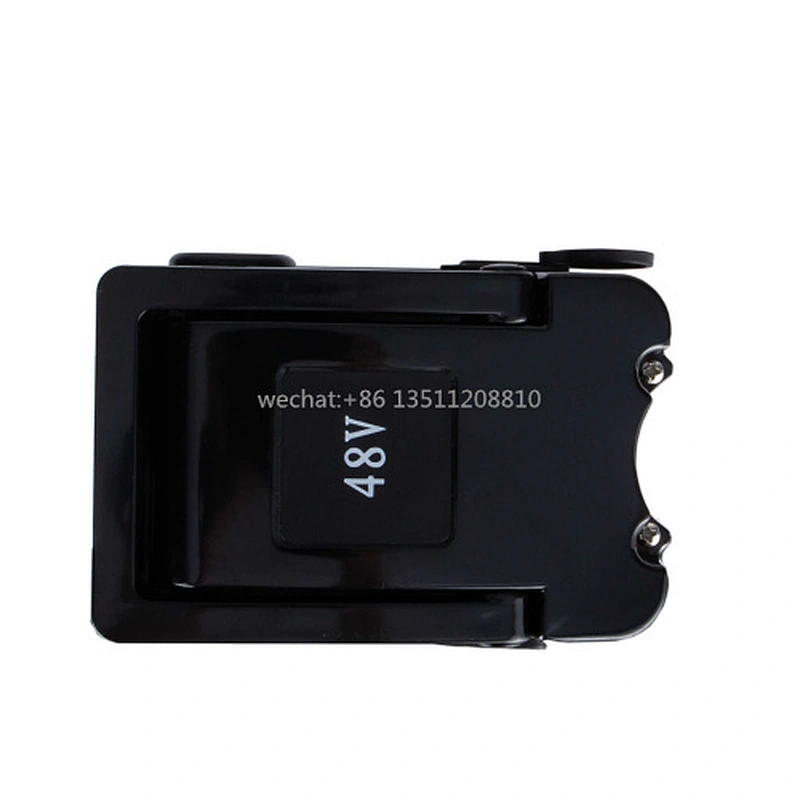 48V 10Ah Lithium Ion Battery for ebike