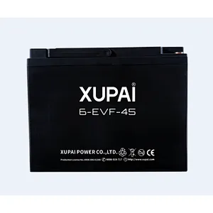 Professional rickshaw 36v E-rickshaw battery 48v 45Ah with high quality
