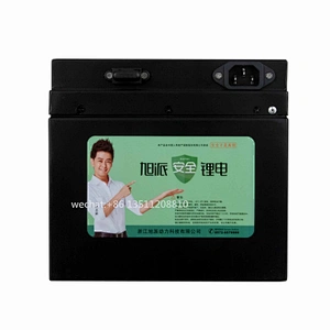 48V 20Ah Lithium Ion LiFePO4 Battery for electric bike