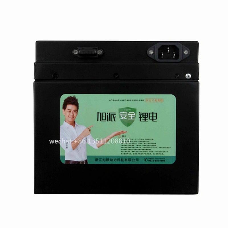 48V 20Ah Lithium Ion LiFePO4 Battery for electric bike