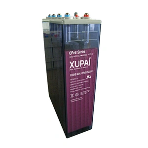 Hot selling usb rechargeable battery For alarm