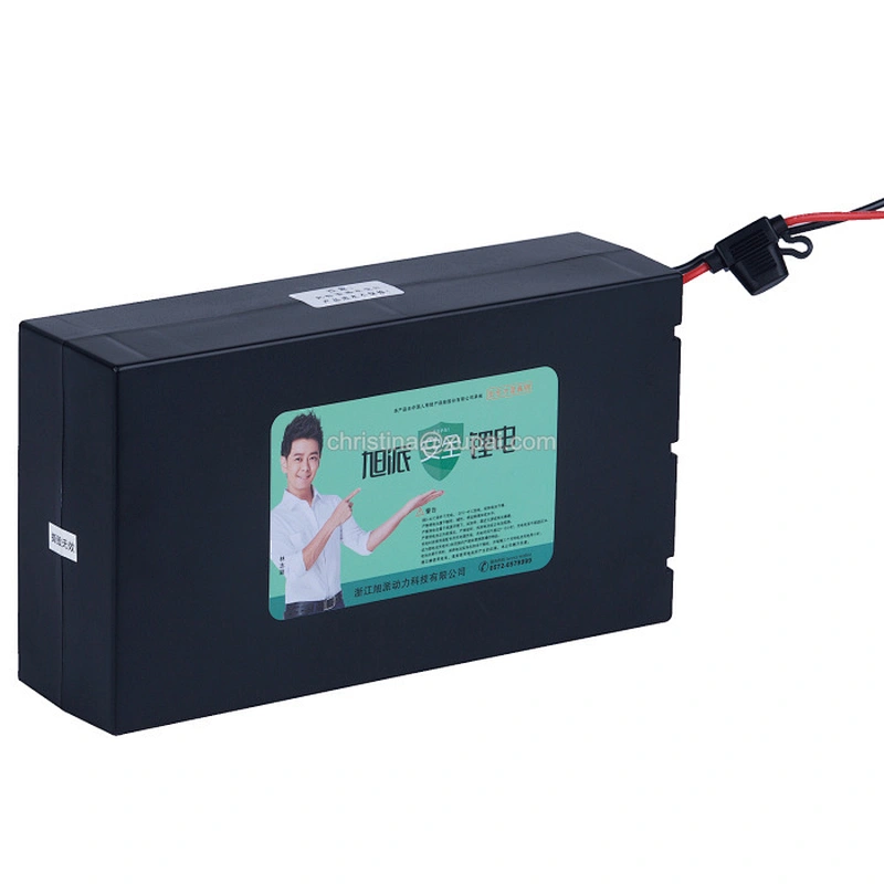 OEM LiFePO4 48v 13ah rechargeable lithium battery