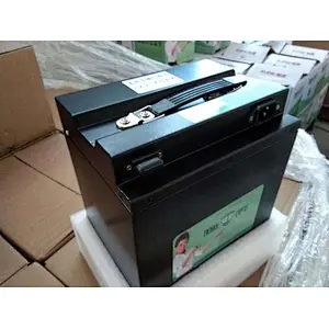 Lithium Iron Phosphate Batteries for electric vehicles