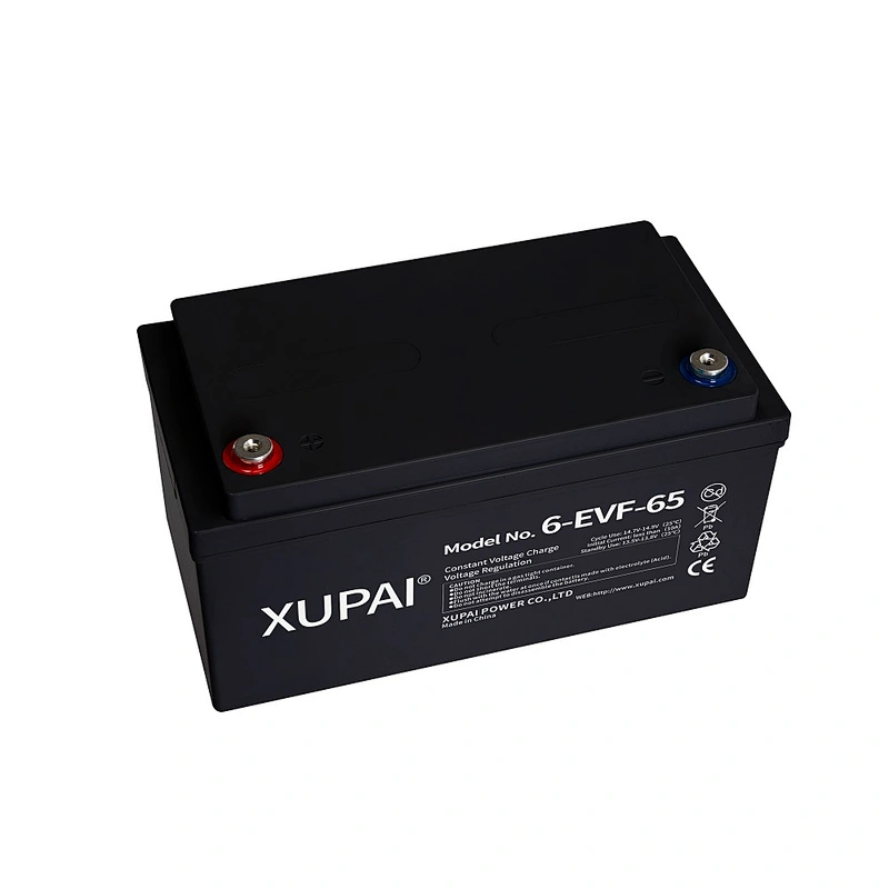 XUPAI Electric Vehicles 12V 65AH Battery 6-EVF-65 Batteries