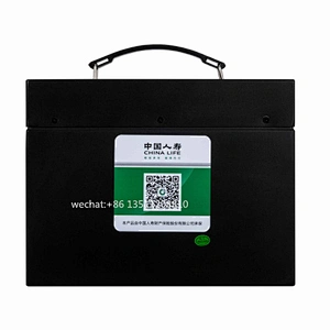 48V 20Ah Lithium Ion LiFePO4 Battery for electric bike