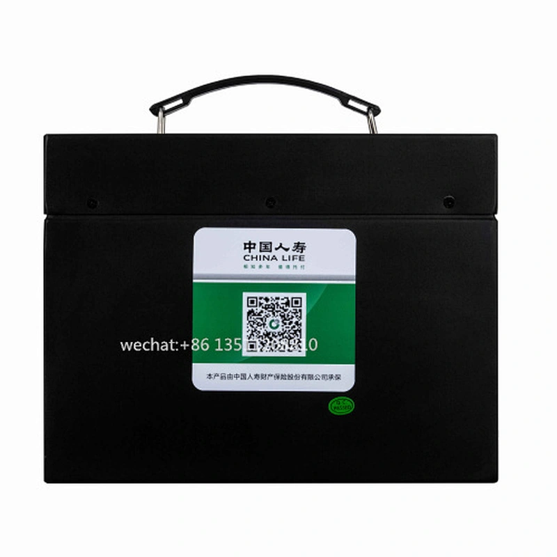 48V 20Ah Lithium Ion LiFePO4 Battery for electric bike