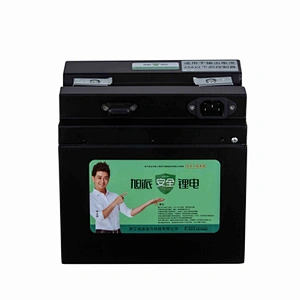 48V/60v 20Ah electric vehicle Lithium Ion Battery