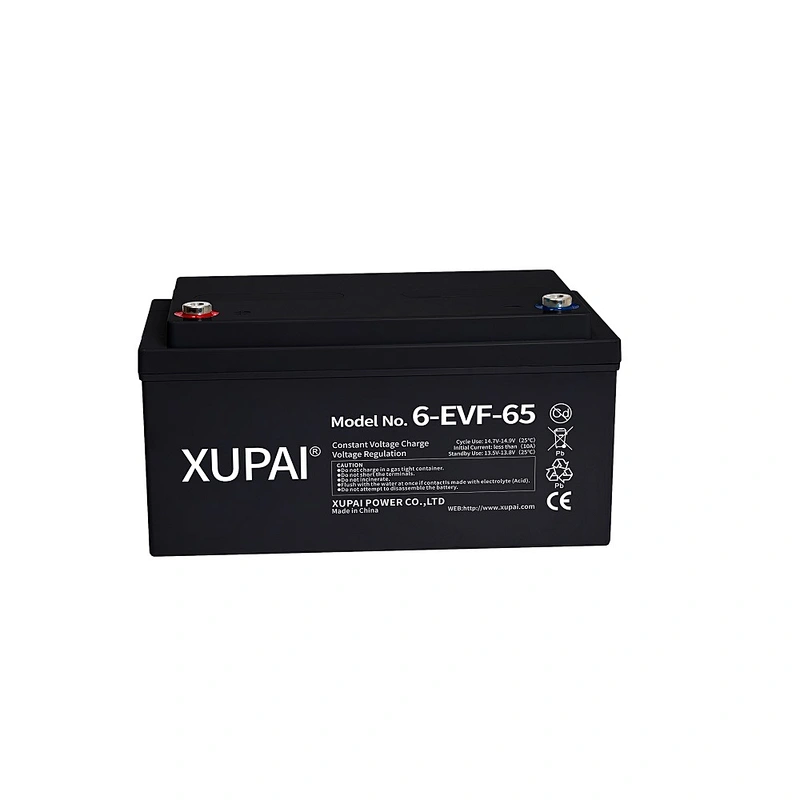 XUPAI Electric Vehicles 12V 65AH Battery 6-EVF-65 Batteries