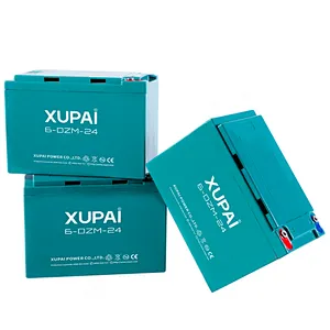 12V 24AH Lead Acid power battery 6-DZM-24 for e-scooter Egypt market