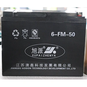 Good Quality shengwei battery electric bike with remote CE ISO QS
