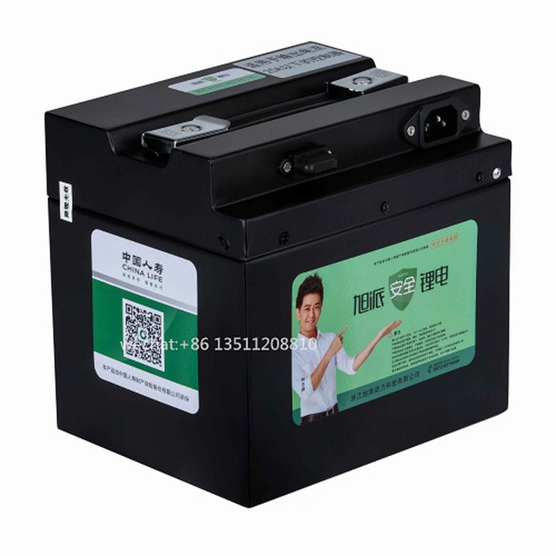 48V 20Ah Lithium Ion LiFePO4 Battery for electric bike