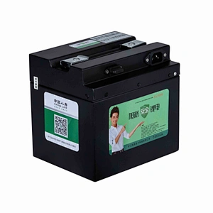 48V 20Ah 18650 Lithium Ion Battery for electric vehicles