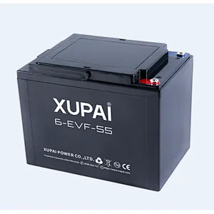 Brand new 24v 55Ah agm tricycle 12v lead acid battery for wholesales