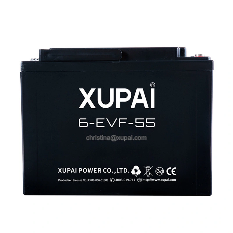 48V 58AH/55AH OEM lead acid deep cycle e-TRICYCLE battery