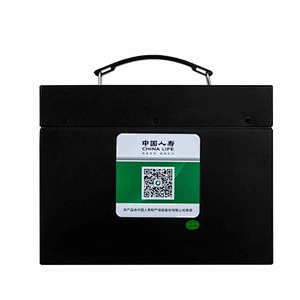 48V/60v 20Ah electric vehicle Lithium Ion Battery