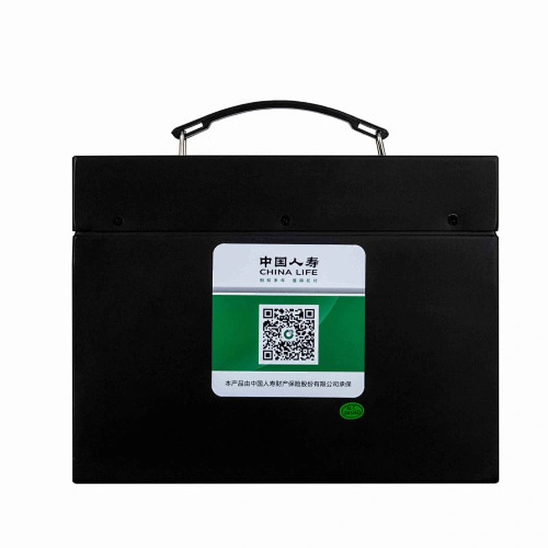 48V/60v 20Ah electric vehicle Lithium Ion Battery