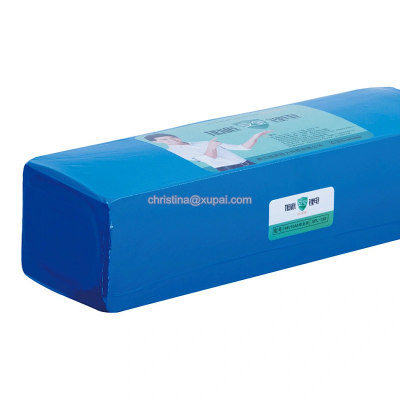 OEM LiFePO4 48v 13ah rechargeable lithium battery