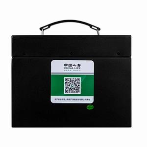 XUPAI 48V20 Lithium Ion Battery for ebike