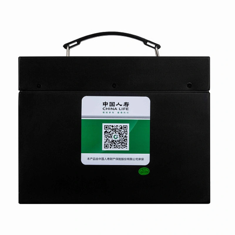 XUPAI 48V20 Lithium Ion Battery for ebike