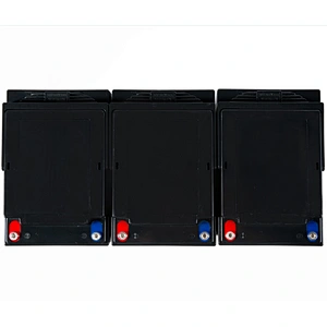 Professional 12v pack 36v 55Ah lead acid battery with low price