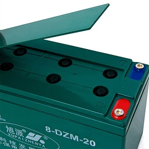 XUPAI 8-DZM-20 Battery for Electric Bike & Electric Scooter