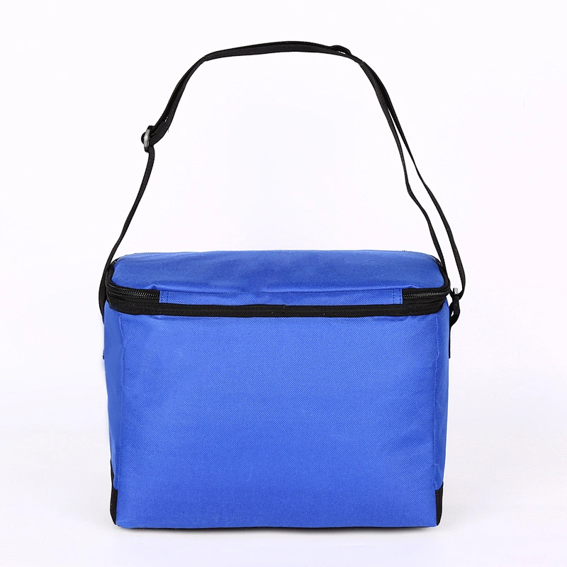 China Supplier custom print waterproof custom logo large picnic aluminium foil thermal ice insulated lunch cooler bag