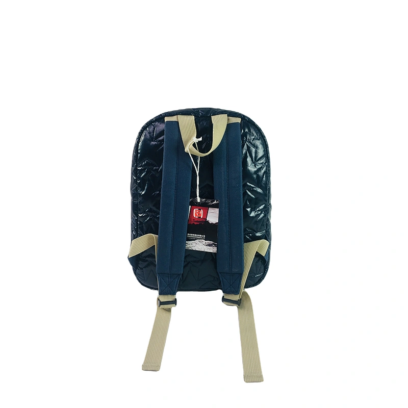 Embroidery foam padded fabric Manufacturers School Bags kids Backpack gift bag for Children men women