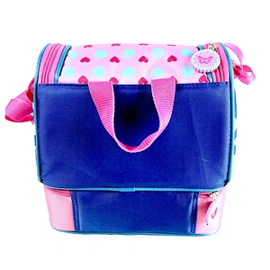 Fashionable customized high quality colorful promotional cooler basket cartoon pattern insulated lunch cooler bag