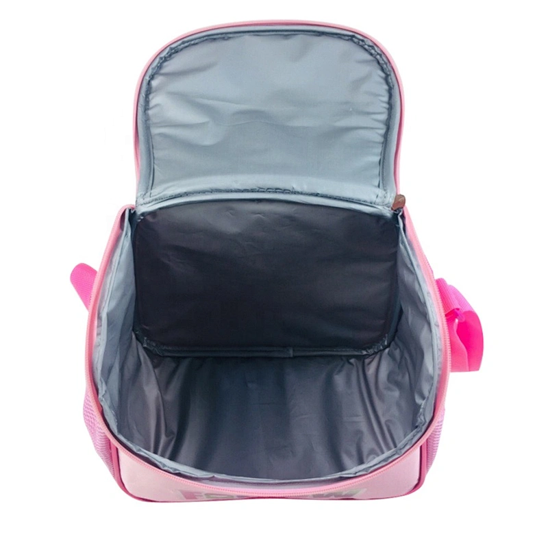 BSCI Audit Factory High Quality Cooler Bag Kids School Lunch Box Cooler Bags