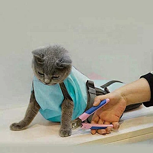 Cat Pet Supply Grooming Bag Restraint Bag Cats Nail Clipping Cleaning Grooming Bag