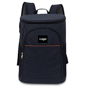 2020 hot sale capacity thermal fabric waterproof Backpack insulated soft cooler bags wine lunch cooler bag with compartments