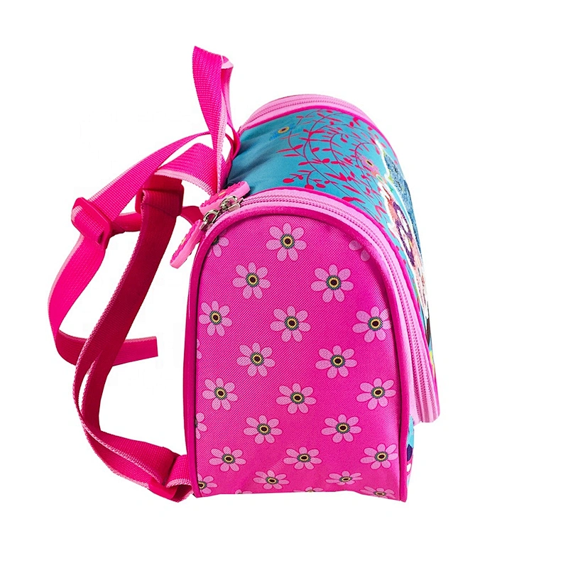 Wholesale OEM Custom printing waterproof Insulated cooler bags lunch
