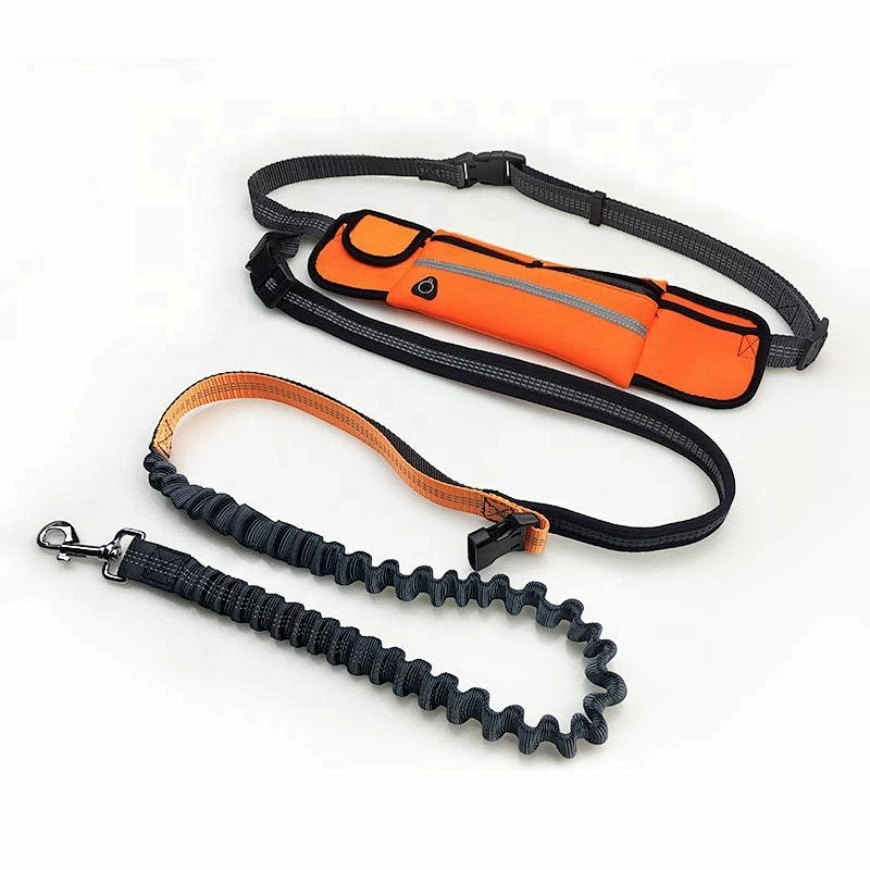 Wholesale Custom Nylon Reflective Bungee Hands Free Jogging Dog Leash With Waterproof Waist Bag