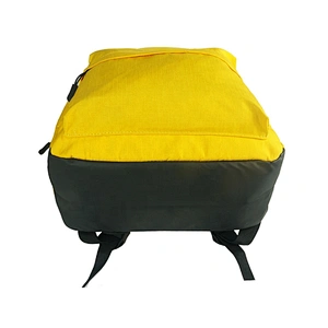 Promotional Cheap  Durable Ristop Polyester  School Backpack Bag Adults Travel Unisex Fashionable School Bags Backpack