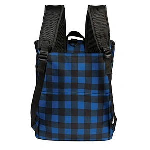 Large capacity thermal insulation fabric Leakproof basket Backpack cooler bags insulated cooler bag with custom logo