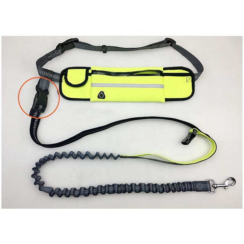 Wholesale Custom Nylon Reflective Bungee Hands Free Jogging Dog Leash With Waterproof Waist Bag