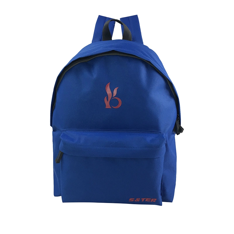 Customized women Backpack bags Business Laptop Bags waterproof backpack Mochilas Escolares For Children