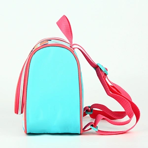 2020 Reusable eco Friendly Waterproof Insulated Picnic Bag Thermal Cooler Tote Lunch Bag