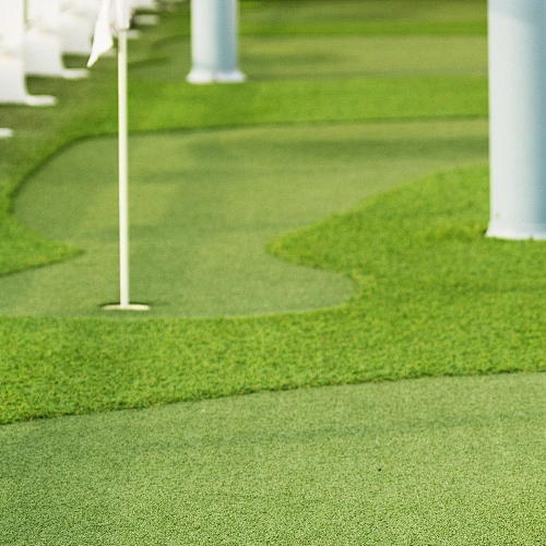 Golf Grass