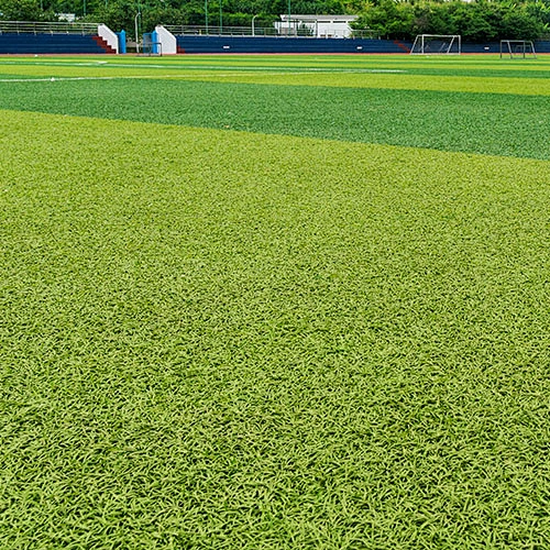Soccer Grass