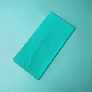 Dinosaur - Disposable Tableware Table Cover