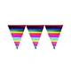 Rainbow Iridescent - Paper Banner