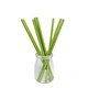 Disposable Tableware Straws