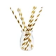 Disposable Tableware Straws
