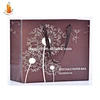 mini kraft paper gift bag